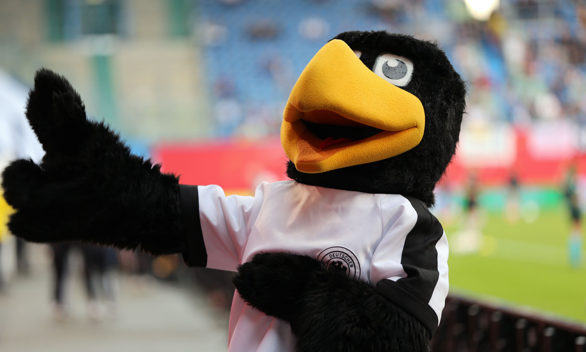 DFB-Maskottchen Paule